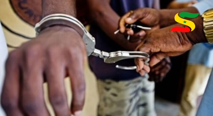Diourbel : les neufs partisans de SONKO condamnés à 6 mois avec sursis…
